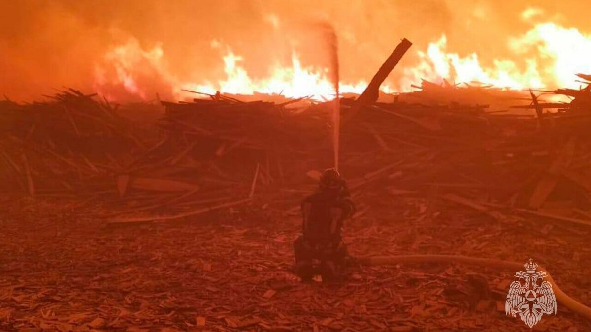     Пожар на пилораме в Арсеньеве удалось локализовать. К двум часам ночи он вырос до 2000 квадратных метров.