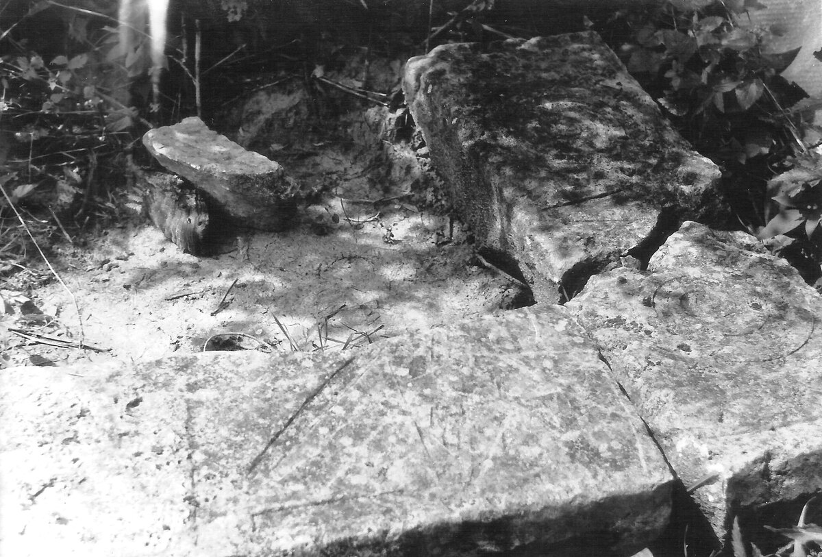 Вот как оправдывают лесорубы хаотичную прокладку ими глубоких, до глины, трелёвочных дорог через леса, поверх старых аккуратных грунтовок, ещё и разрушая при этом древние поселения и могильники разных-42