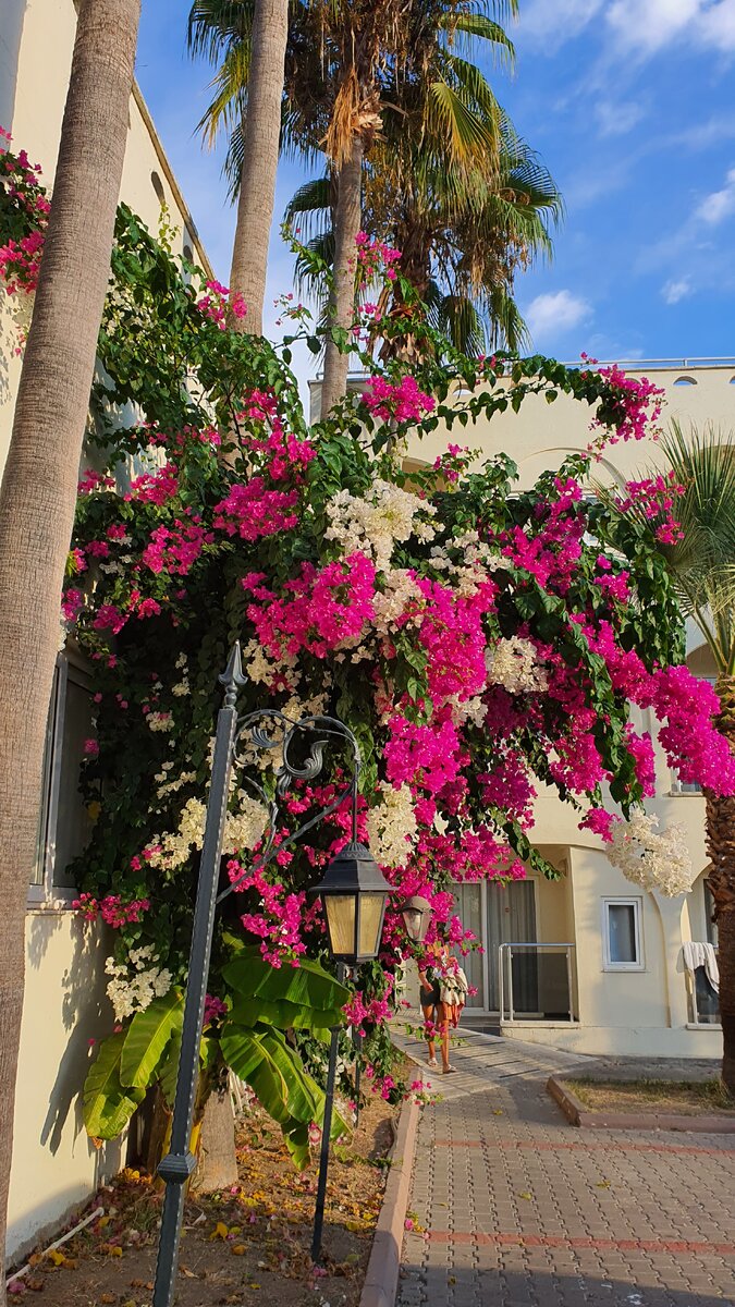 Вот чтоб среди такого жить