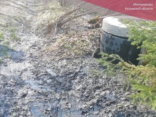     Фото: минприроды Калужской области