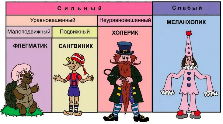 Темперамент ребенка тест. Типы темперамента. Картинки по темпераменту. Типы темперамента картинки. Меланхолик сангвиник