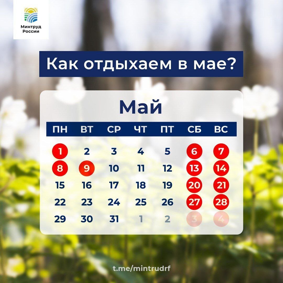    Министерство труда РФ