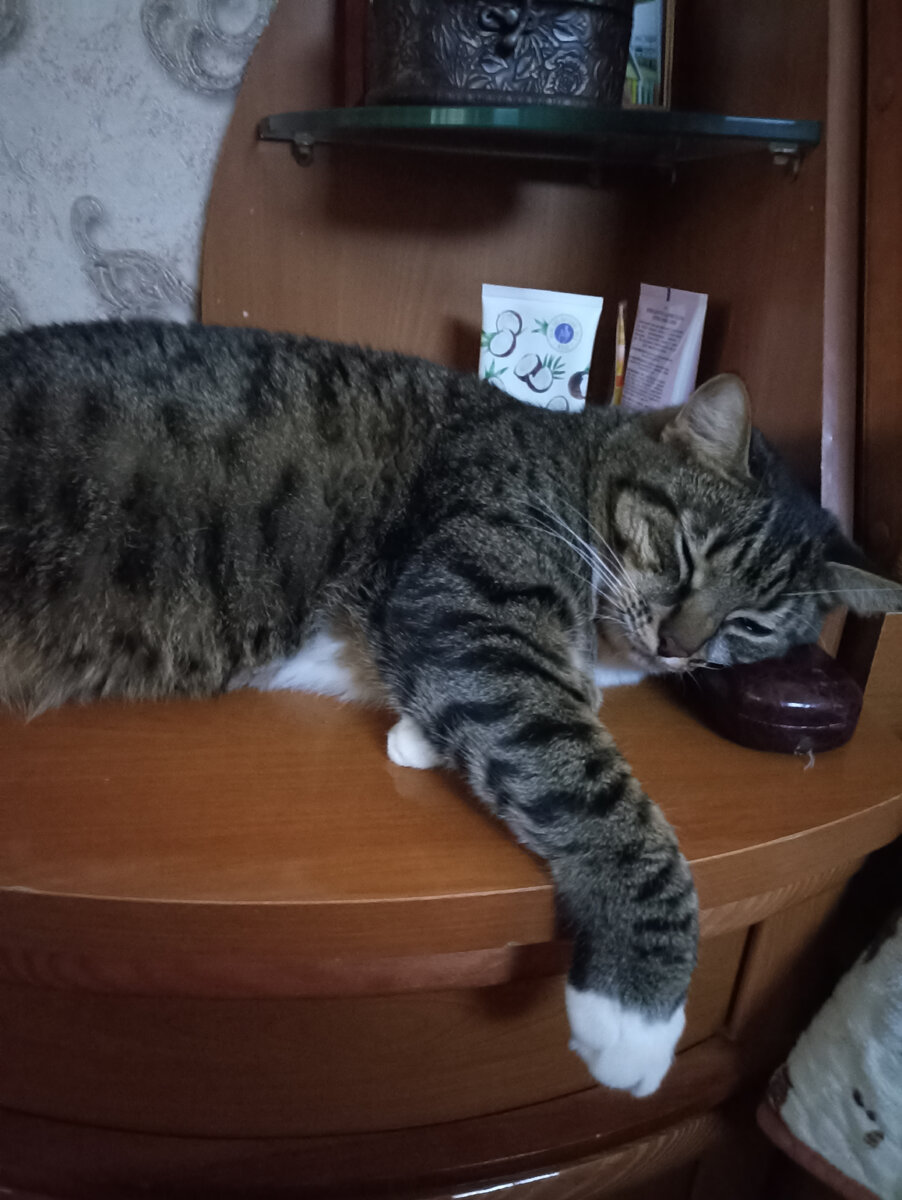 Заскучал в городе, бедняга😊