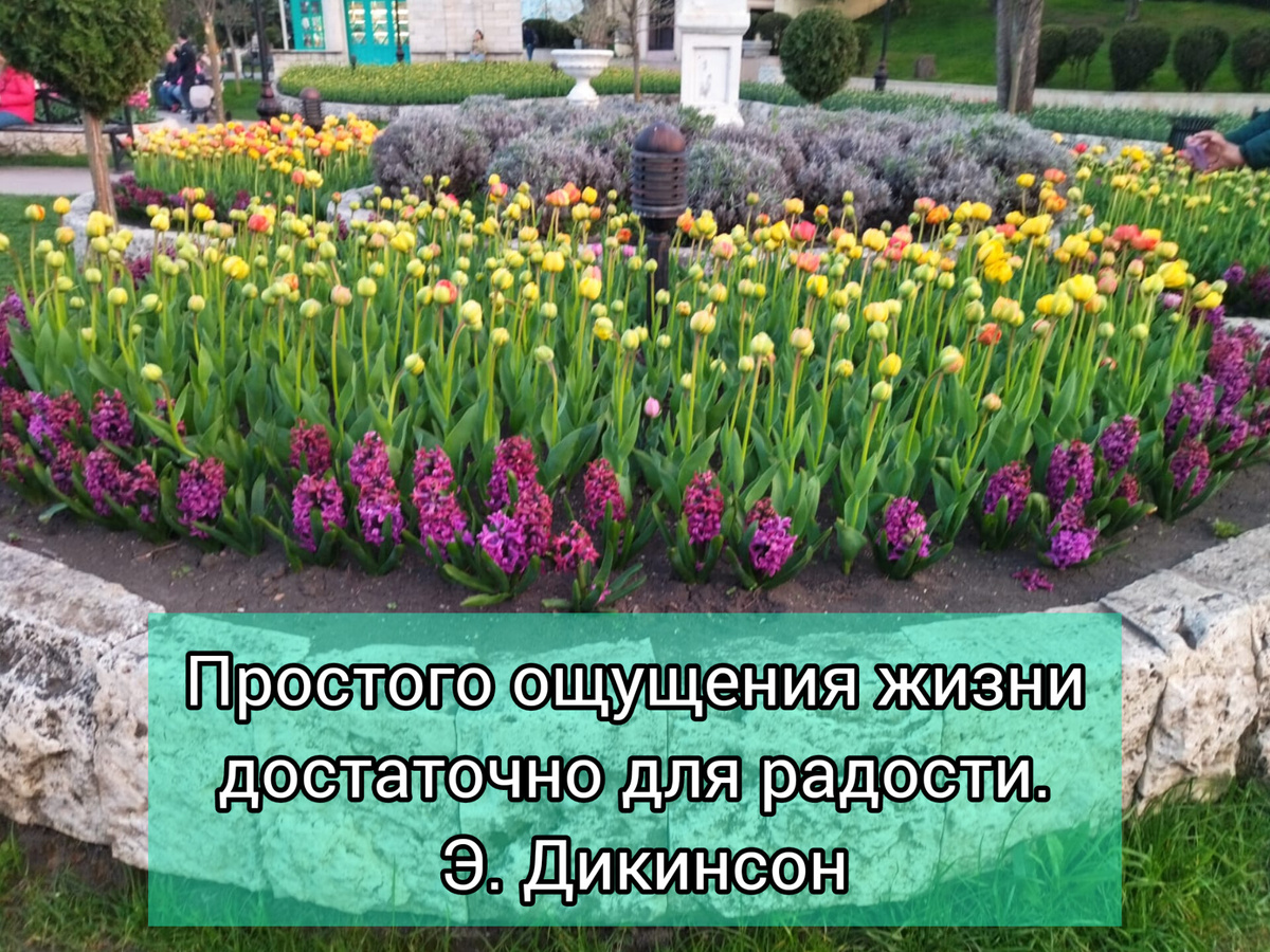 Клумба в Пятигорске