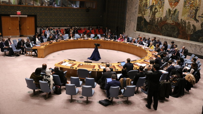     Заседание СБ ООН / globallookpress.com / Xie E/XinHua