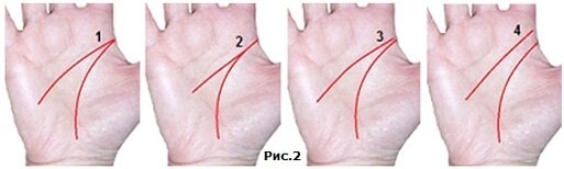 Виды линии головы. Линия между линией головы и линией сердца. Между линией головы и сердца. Линия головы и линия жизни не соединяются. Не соединяются линии жизни и ума.