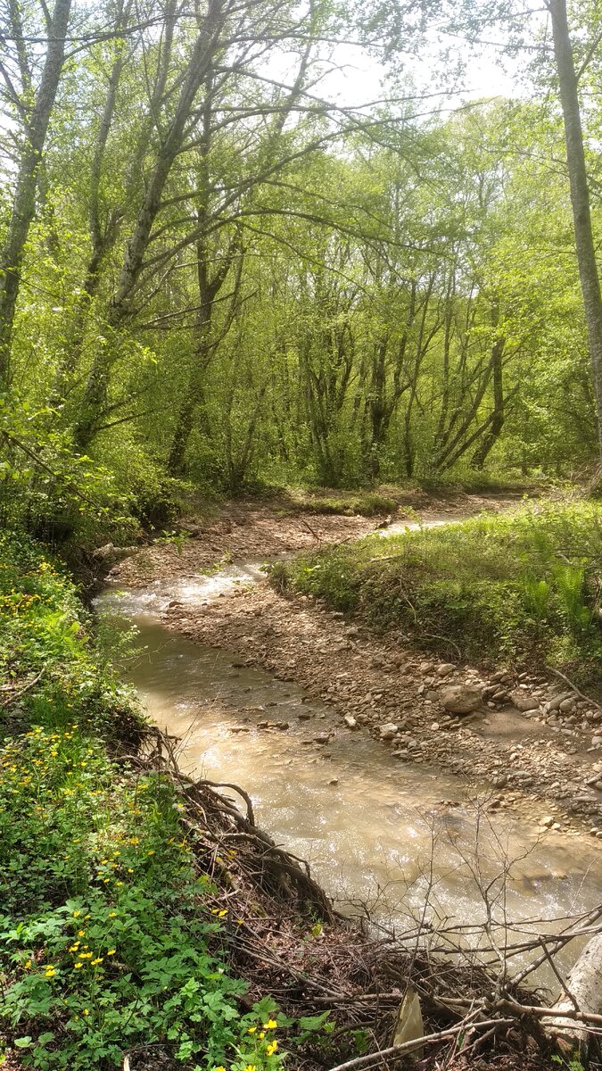 Небольшая речушка у дома