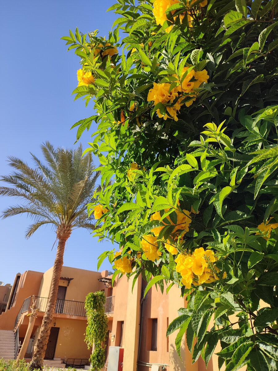 Сколько стоит пожить в Хургаде?