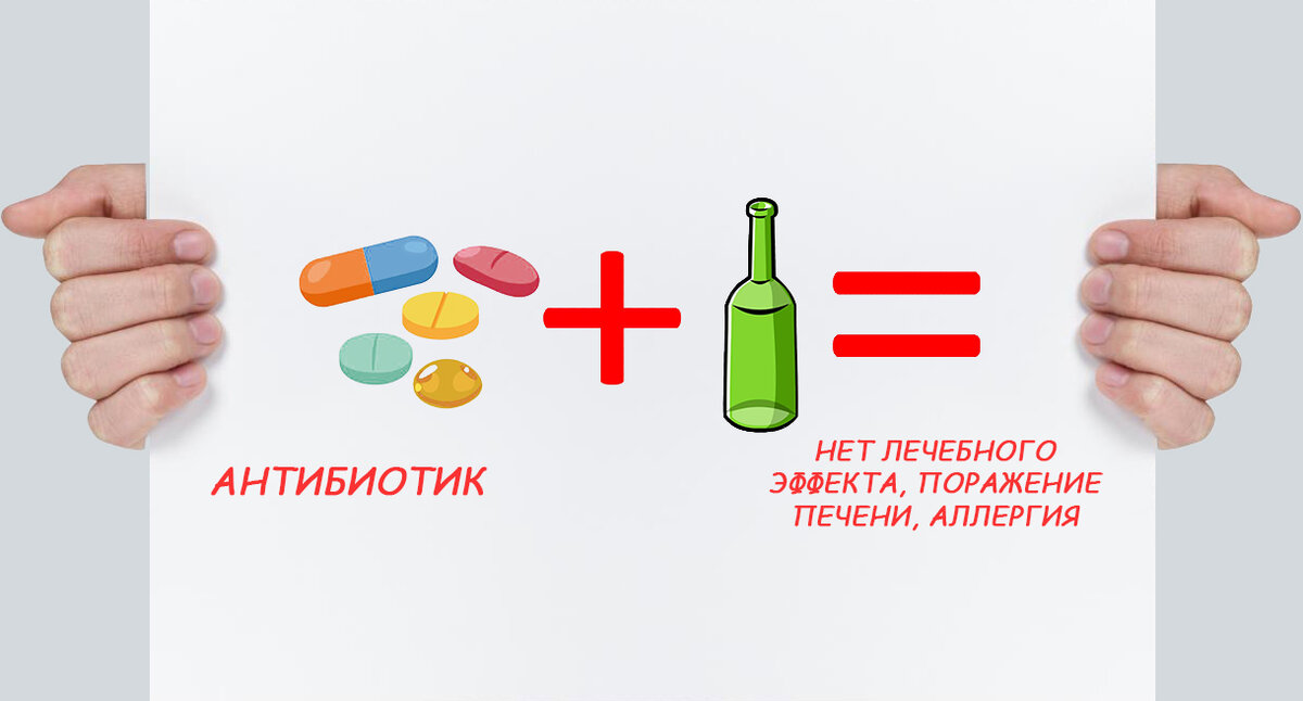 Нарколог объяснил, почему нельзя употреблять алкоголь вместе с антибиотиками