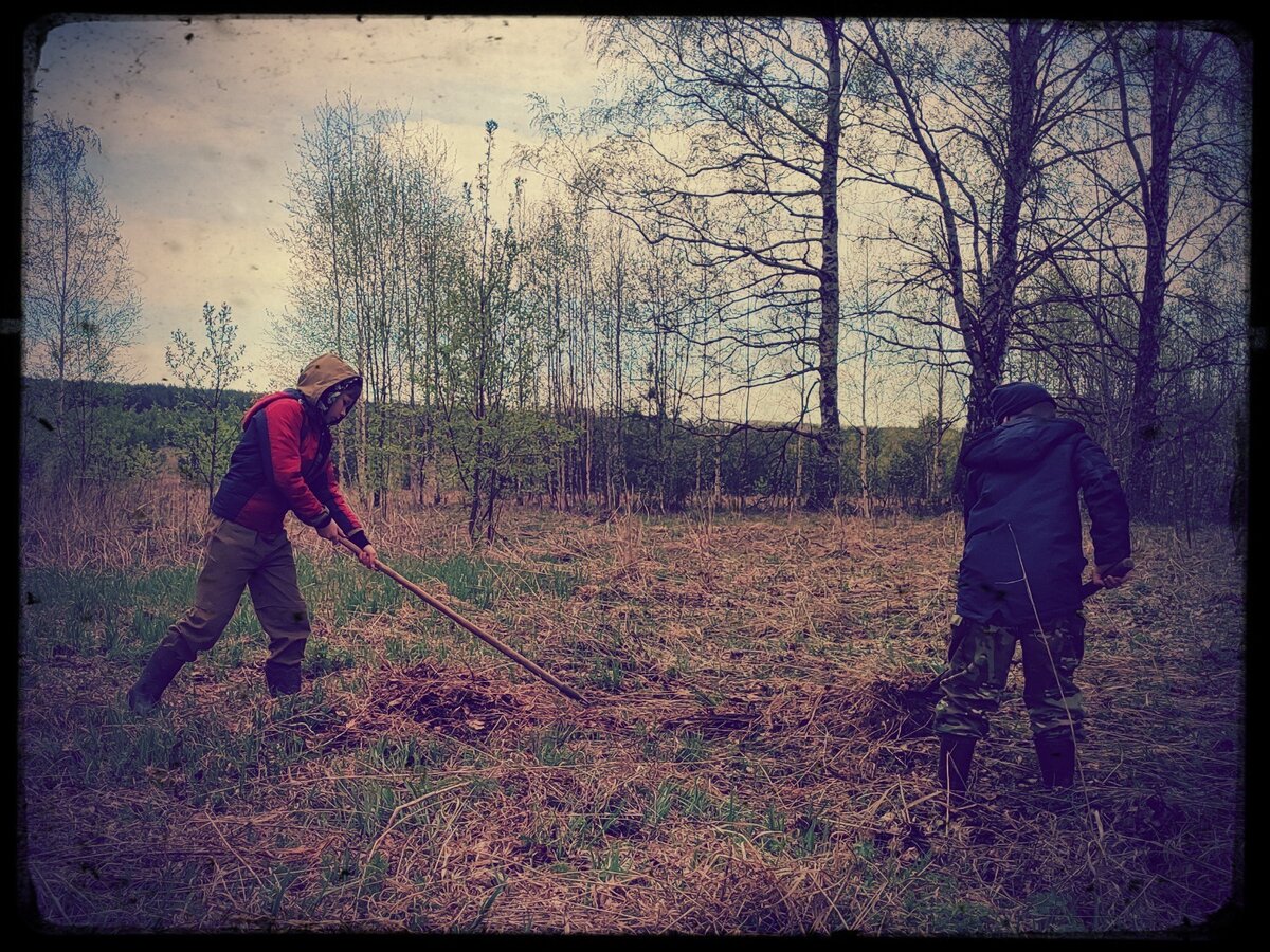 Переехали из города в деревню: как это сказалось на состоянии детей ...