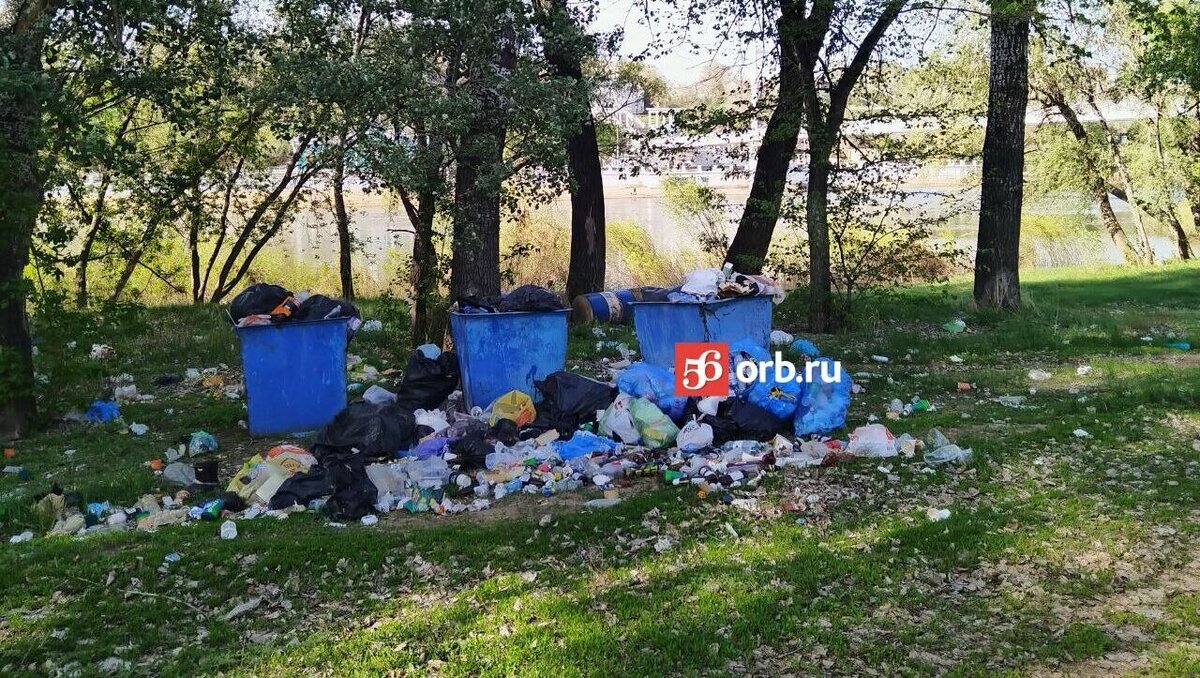 Излюбленное место отдыха жителей Оренбурга, Зауральная роща, утопает в  мусоре | 56orb.ru | Дзен