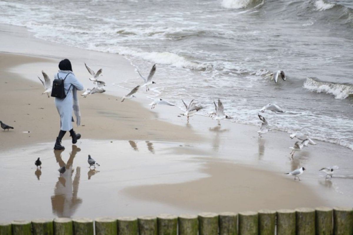   У глади моря. Где на Балтике расширили пляжи, а где отдыхающих не ждут