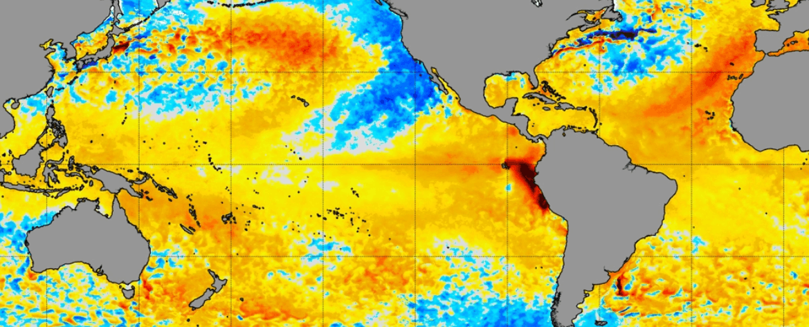    Карта аномально высоких температур океана (чем темнее теплые цвета, тем выше температура)