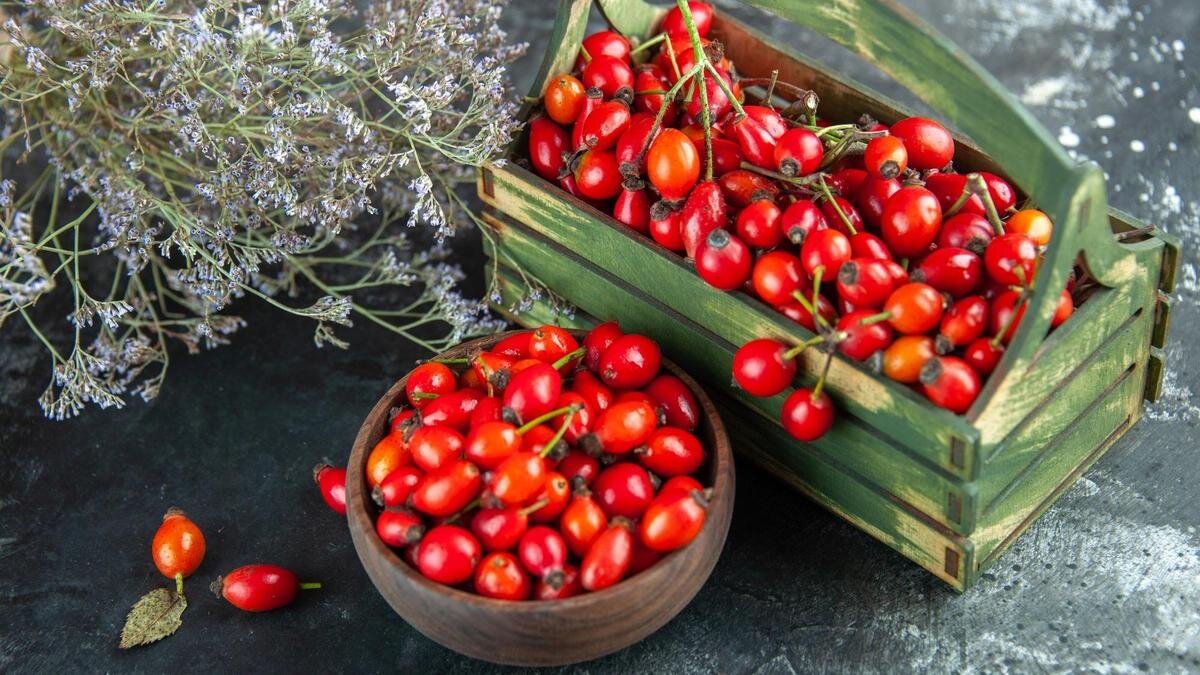    Плоды шиповника:Freepik