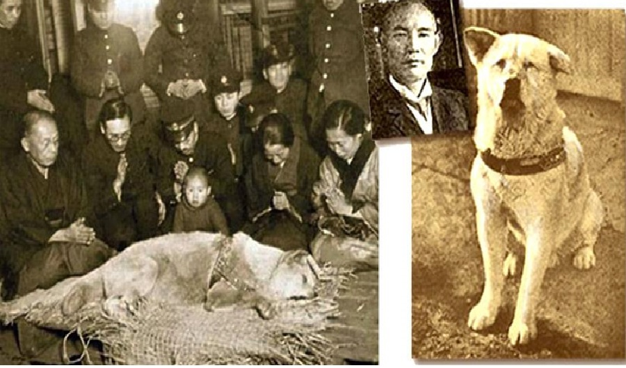 Хатико николаевская. Хозяин пса Хатико. Хатико в реальной жизни и профессор. Хатико 1925 с хозяином.