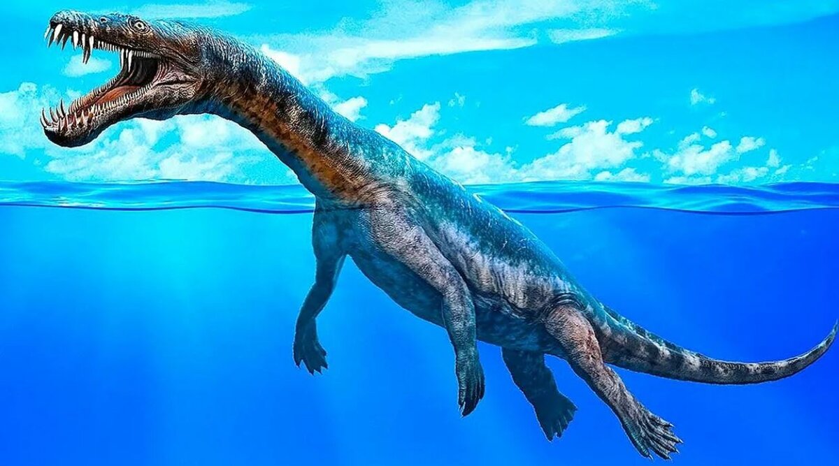 Нотозавры известны миру, как мезозойские морские ящеры, – соответственно, зубастые и огромные, – в прошлом достигавшие 8 метров в длину. Причём, «в прошлом» – не значит, в триасе, когда нотозавры жили.