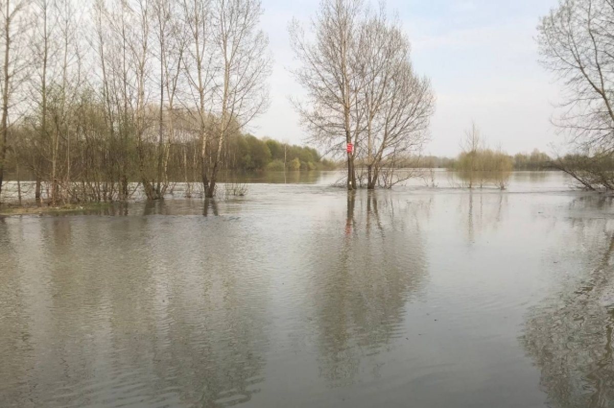    На юге Кузбасса вновь поднялась в реках вода