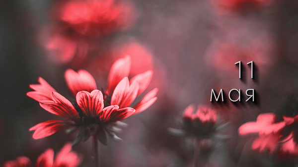    © Photo : Hossam Salah: Pexels