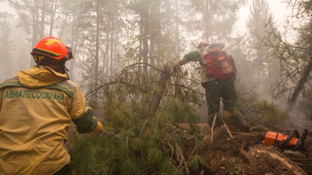    Под Ханты-Мансийском потушили ландшафтный пожар