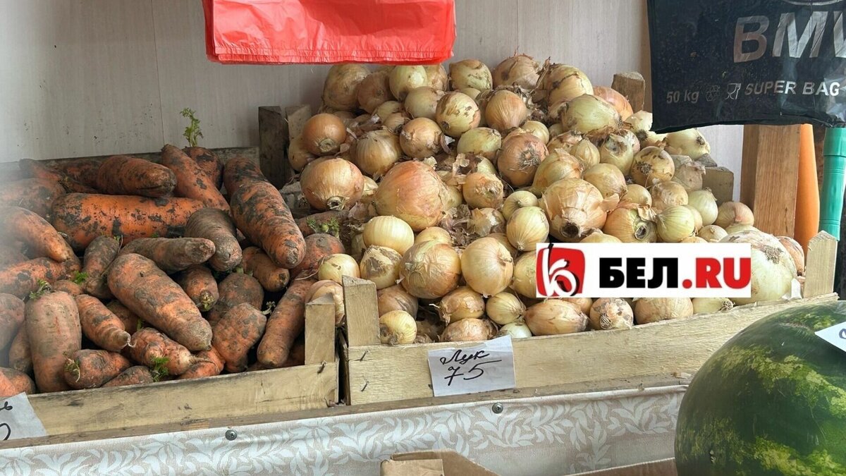 Белый и красный дороже репчатого: сколько стоит лук в Белгороде | Бел.Ру |  Дзен