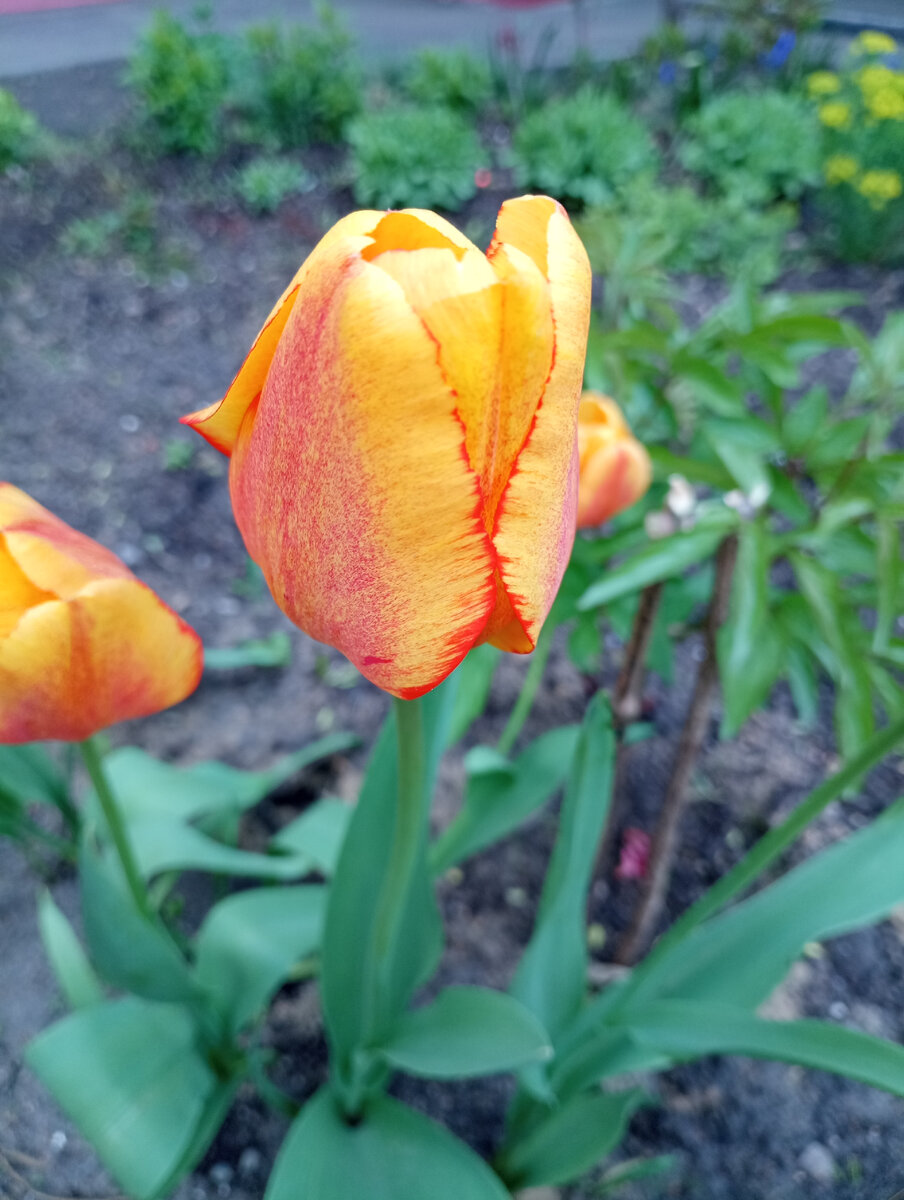 Как он мне нравится!