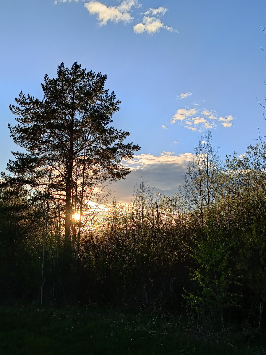 Фото автора статьи. 