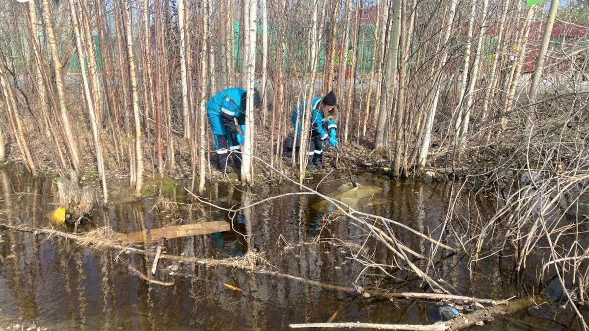    В Нижневартовске от мусора очистили берег озера