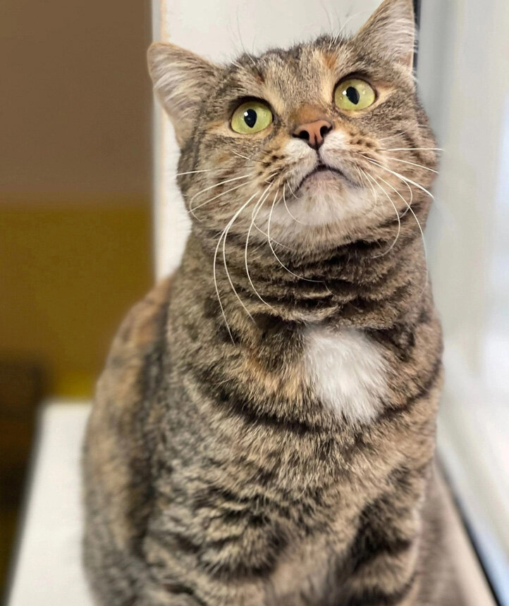 Наша мечтательная ласкуша Осень