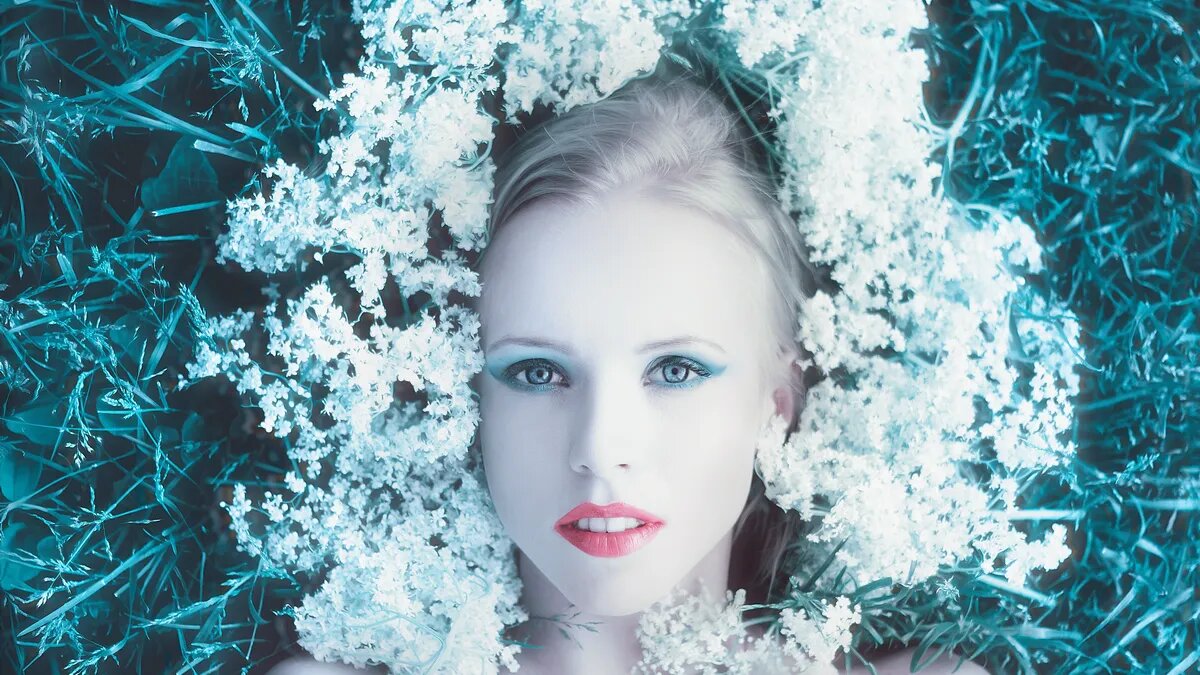 Фото: pxhere.com