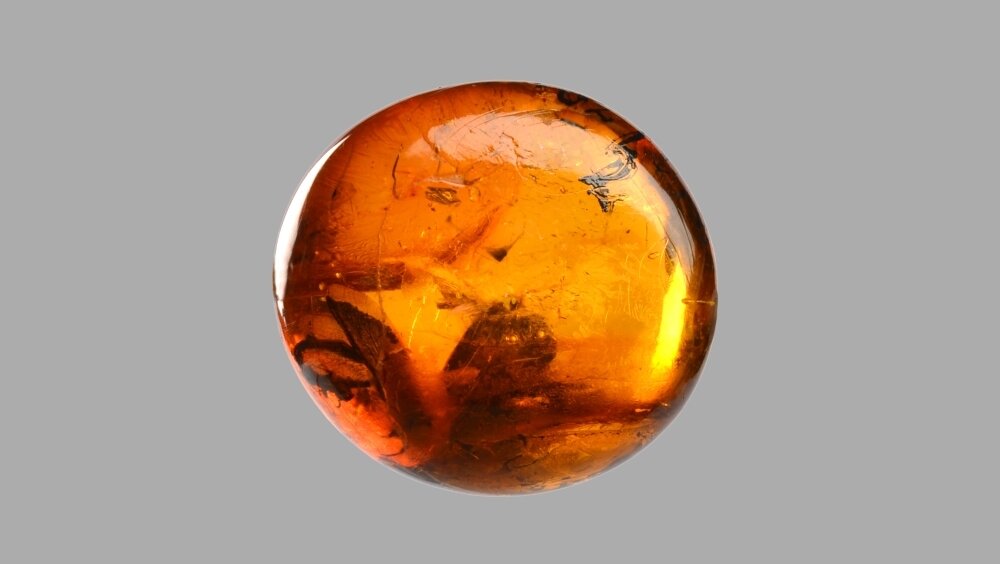    Фото: Shutterstock