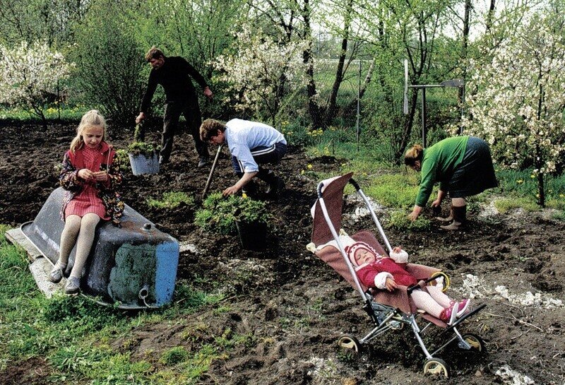 Отпуск на приусадебном участке..Дача под Ригой. Автор фото: Дин Конгер  https://humus.livejournal.com/