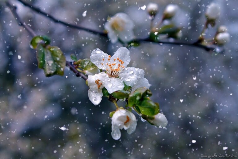 Фотография из свободного источника