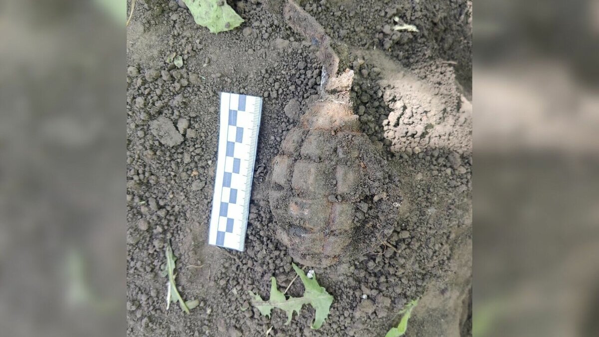     Находка была обнаружена в селе Бахчи Чишминского района.