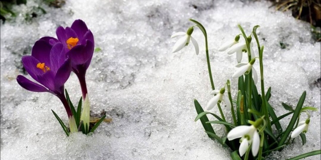 Как выйти из депрессии: 3 способа