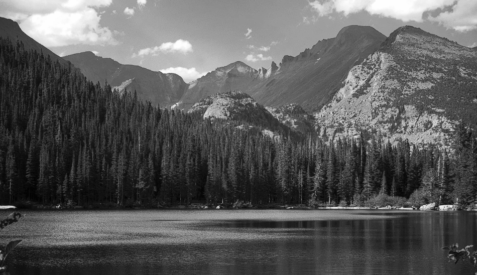 Ксения Спиридонова | Стихи о природе