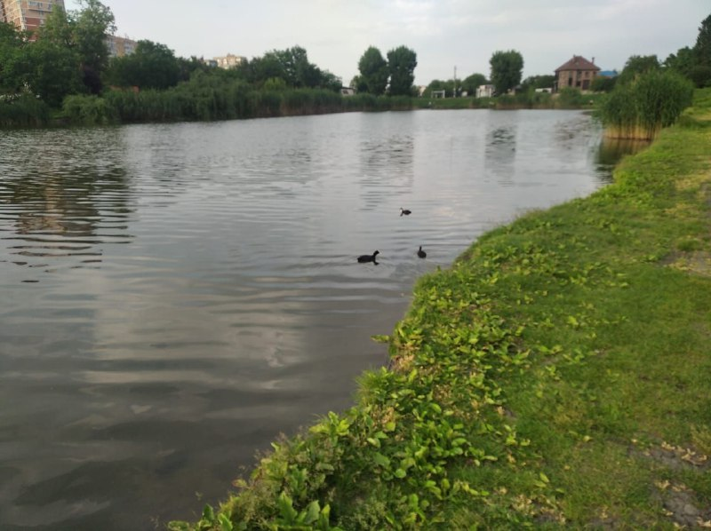 Одно из Пашковских озер