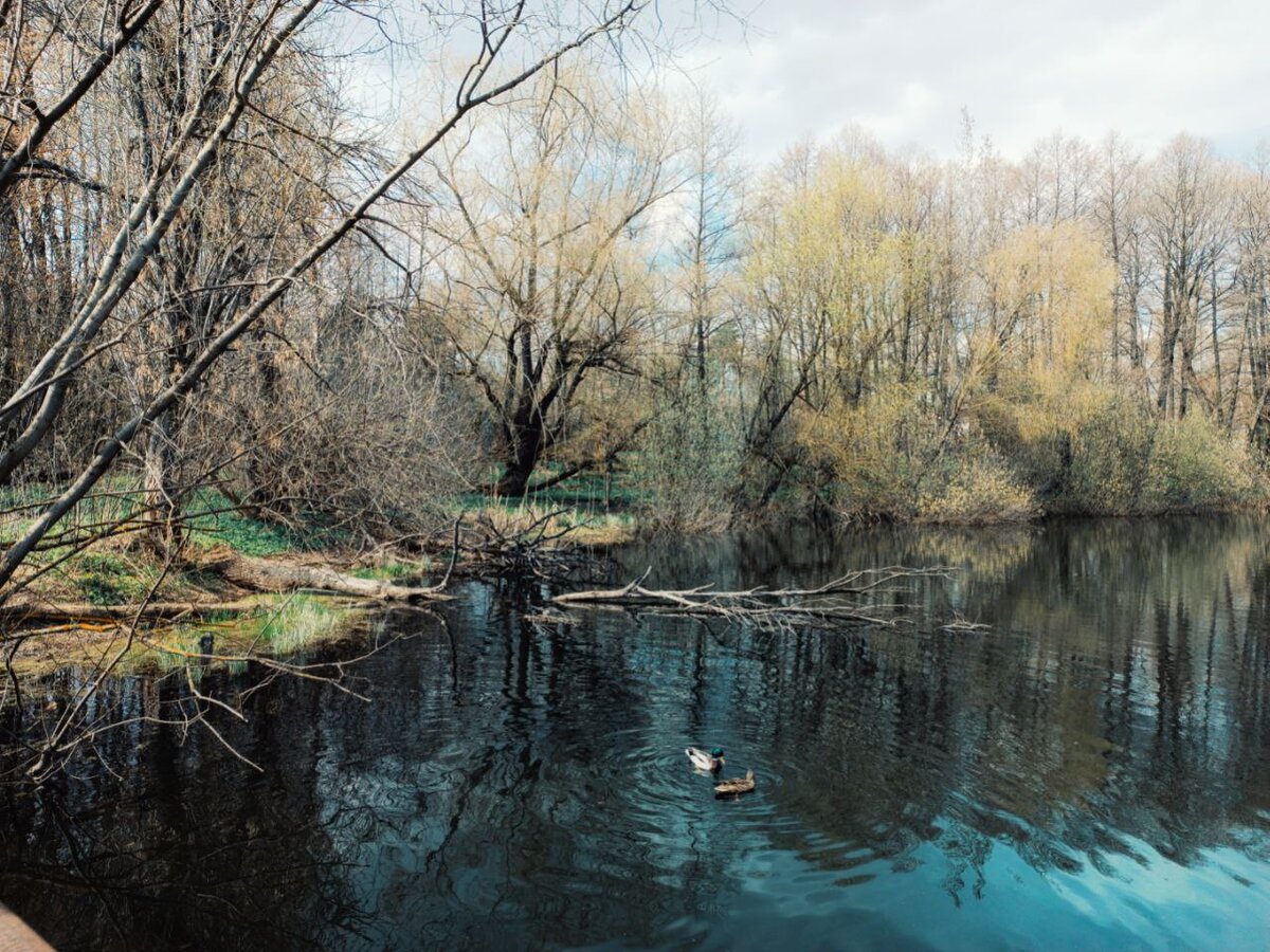 Фото А.Гутиевой
