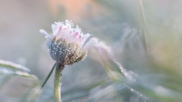    CC BY 2.0 / A_Peach / Tough