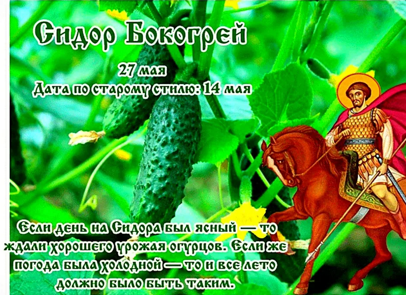 Фото из свободного доступа.