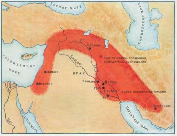 Изображения из открытых источников.