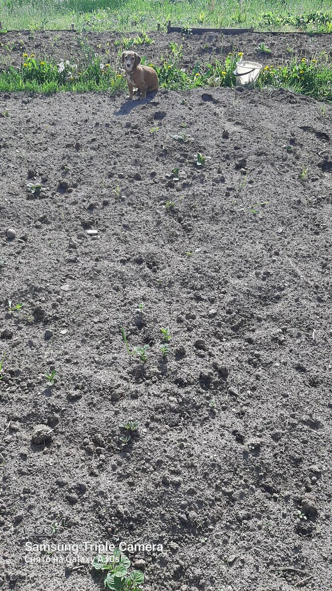 Фото автора .