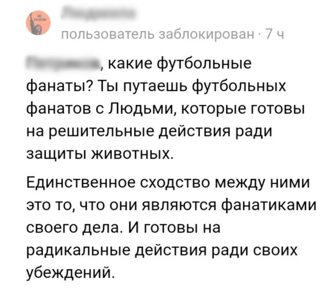 Скриншот комментария под статьей автора в Дзене