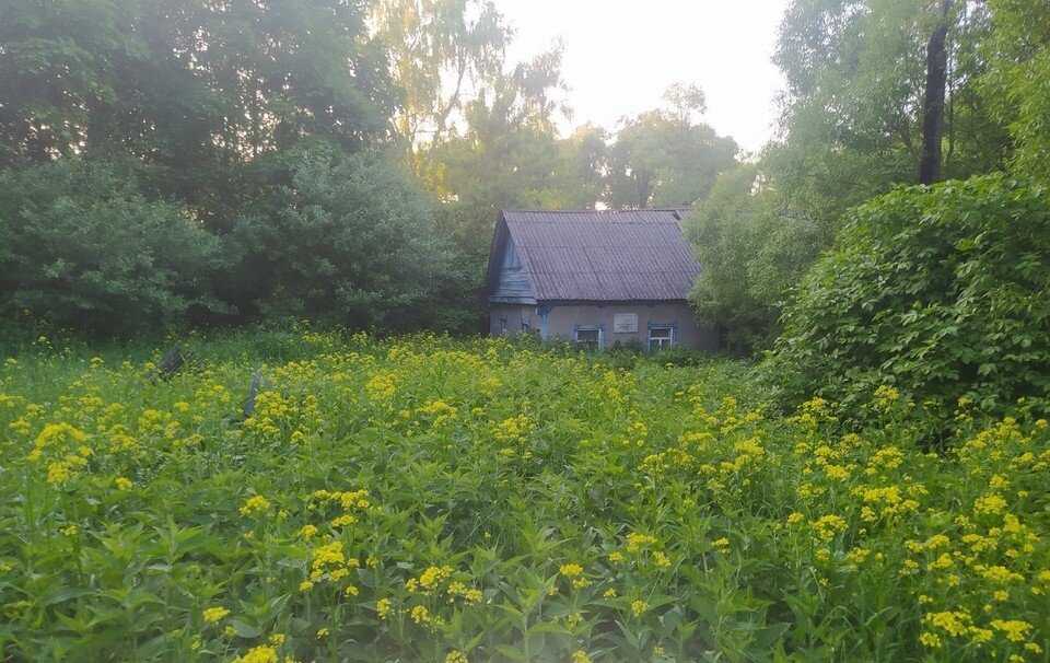    Фото: Александр Блынский