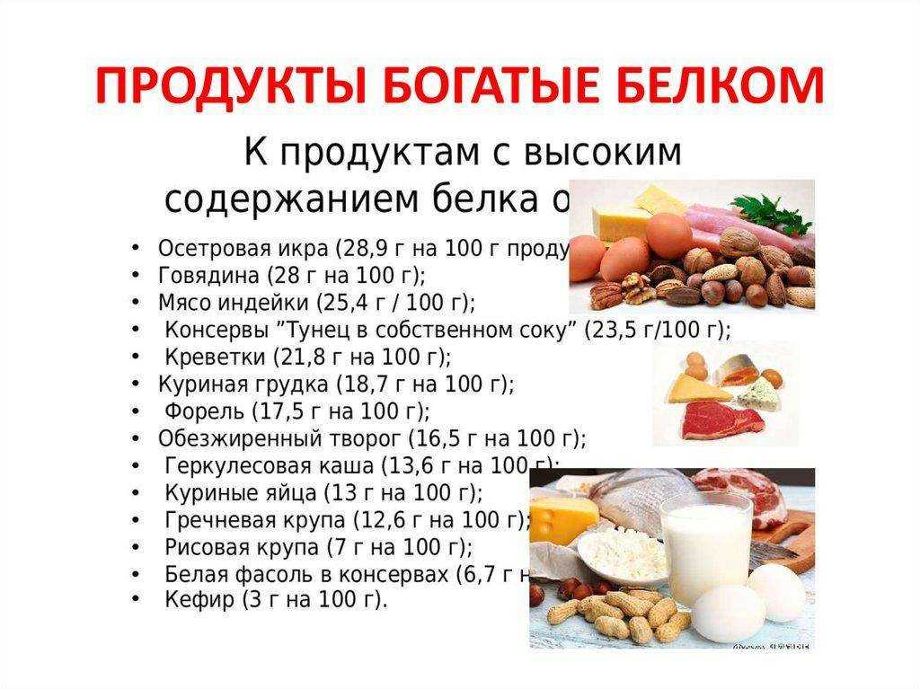 Повышенное питание. Список продуктов богатых белком. Продукты питания богатые белком таблица. Что содержит белки список продуктов. Продукты богатые белком список продуктов.