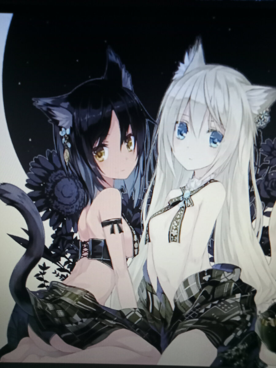 Фото автора сфотал монитор.