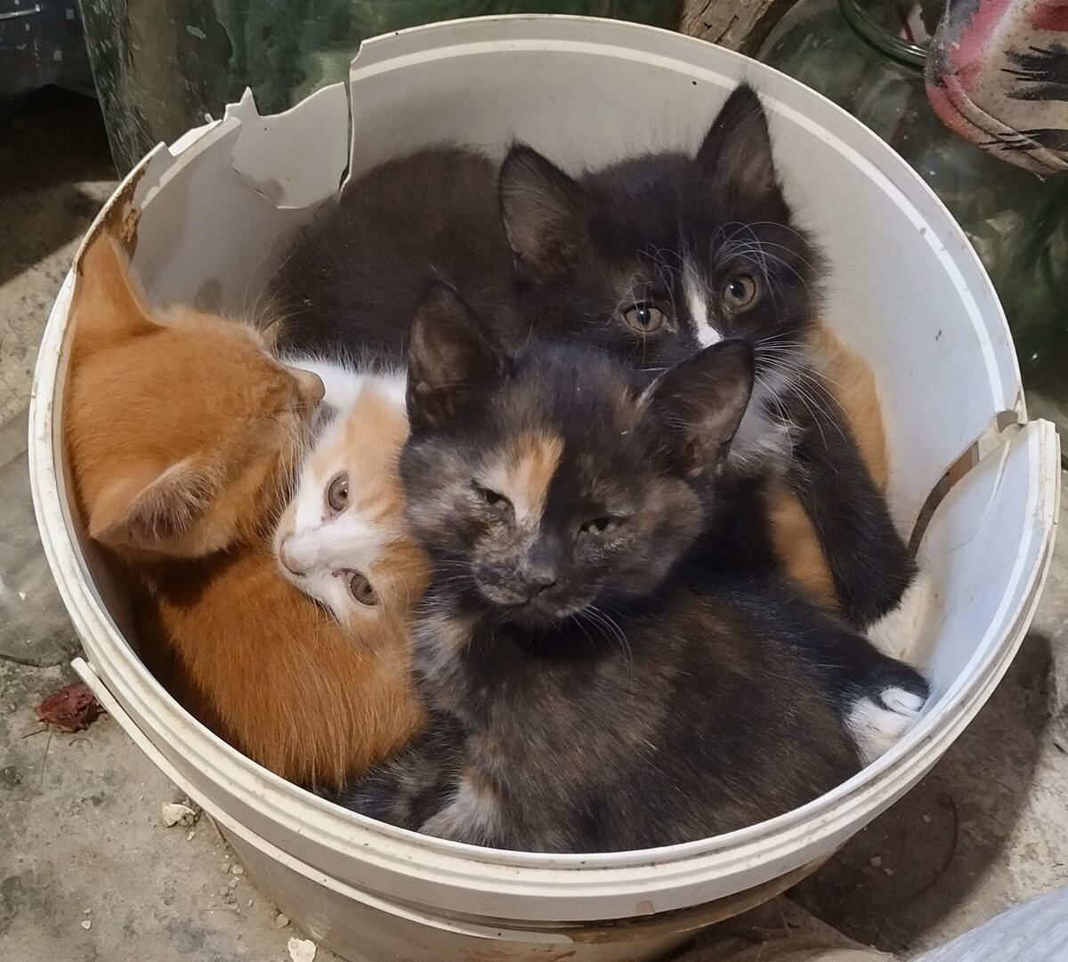 Какие они хорошенькие были маленькие