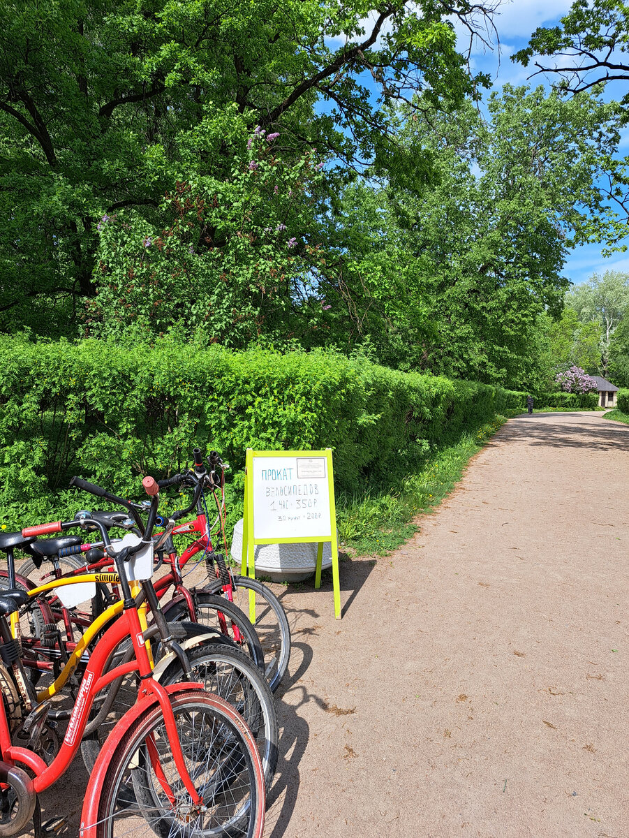 Так можно передвигаться по парку.