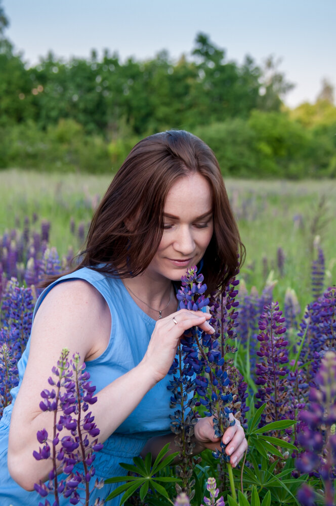 Фото автора, Модель на поле с люпинами 