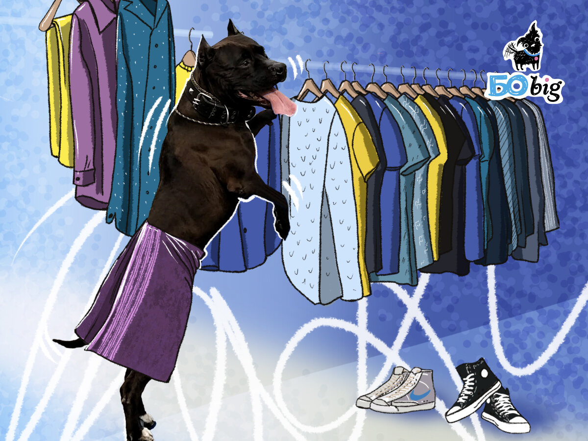 Почему многие собаки любят носить одежду и как это помогает им быть счастливыми