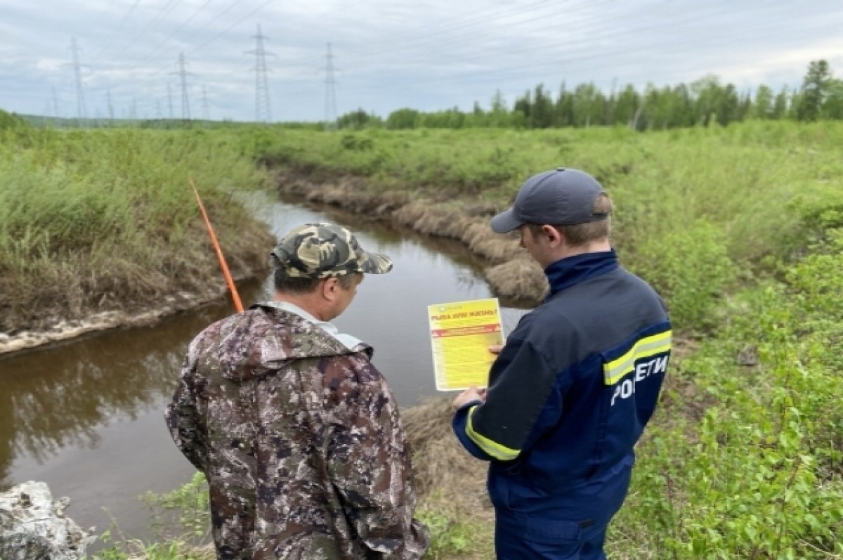    На Ямале стартовала летняя кампания по профилактике электротравматизма